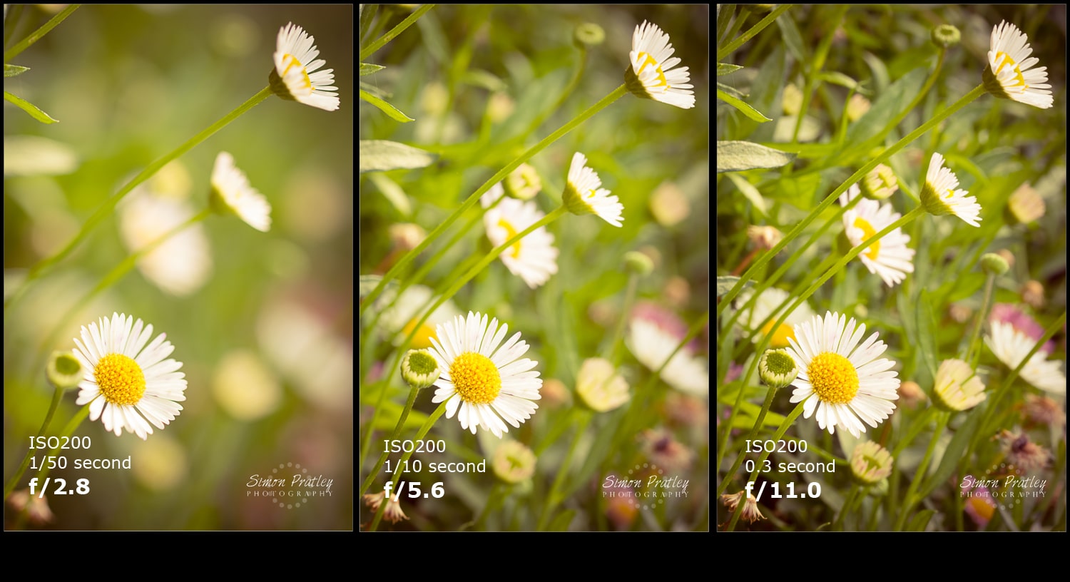 مثلث نوردهی